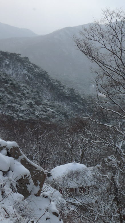 위에서 본 소림초당