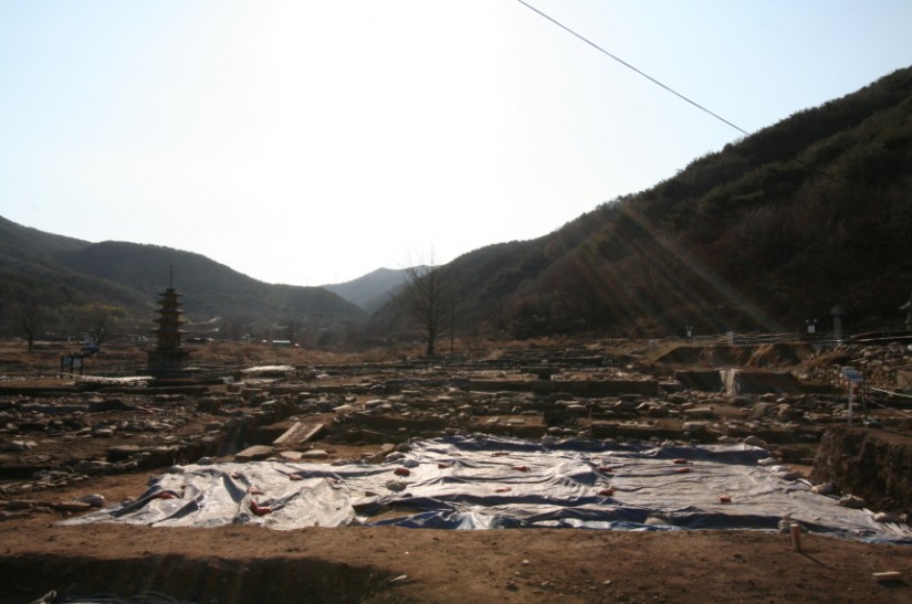 햇살을 마주보고 과감하게...