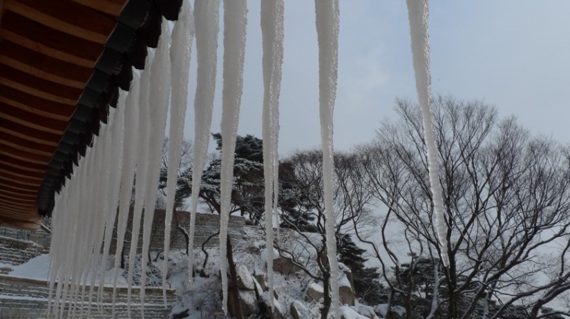 이렇게 큰 고드름은 머리털 나고 처음..