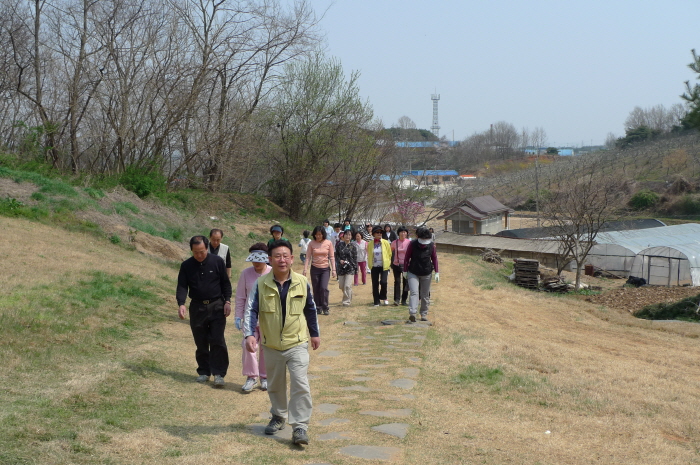 화전리사면석불 가는길.