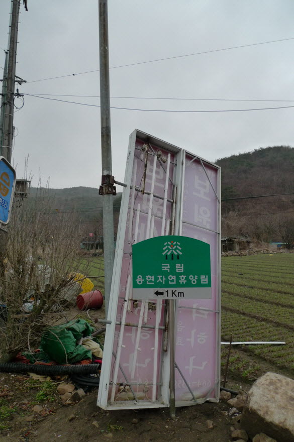 모진 바람에 떨어져 입을 쩍 벌리고...