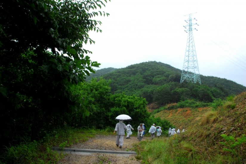 못 막은 철탑아래 보원사 가는길.